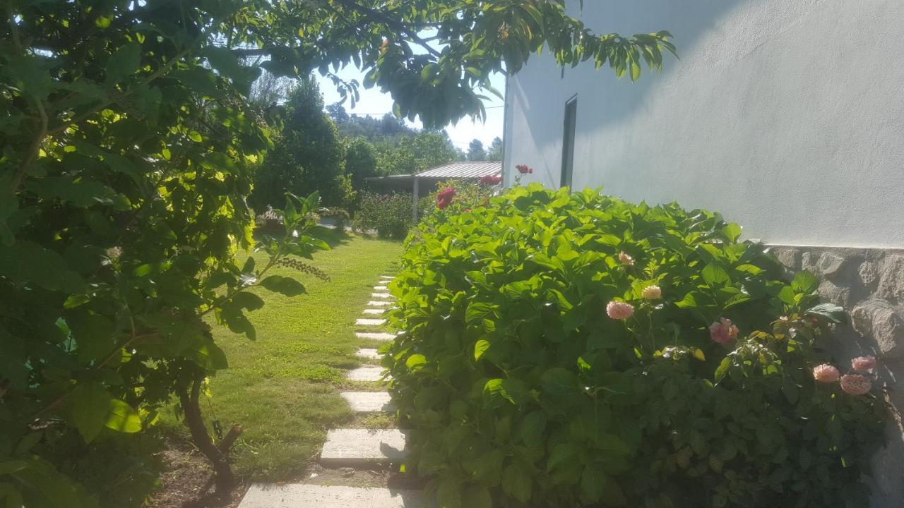 Quinta Do Serrado De Belmonte Belmonte  Bagian luar foto