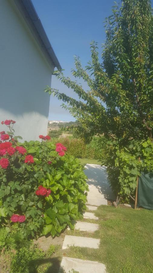 Quinta Do Serrado De Belmonte Belmonte  Bagian luar foto