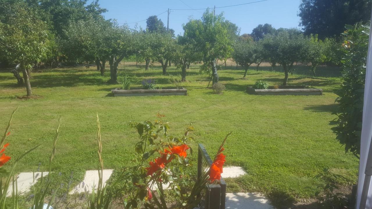 Quinta Do Serrado De Belmonte Belmonte  Bagian luar foto