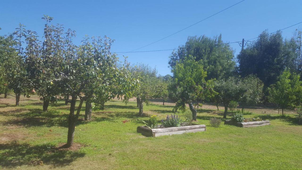 Quinta Do Serrado De Belmonte Belmonte  Bagian luar foto