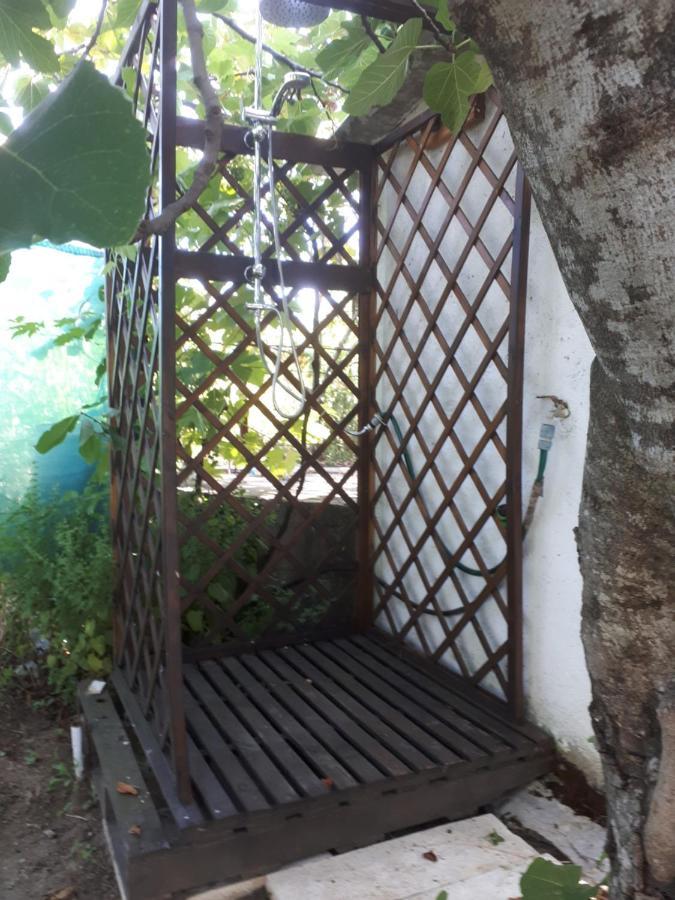 Quinta Do Serrado De Belmonte Belmonte  Bagian luar foto